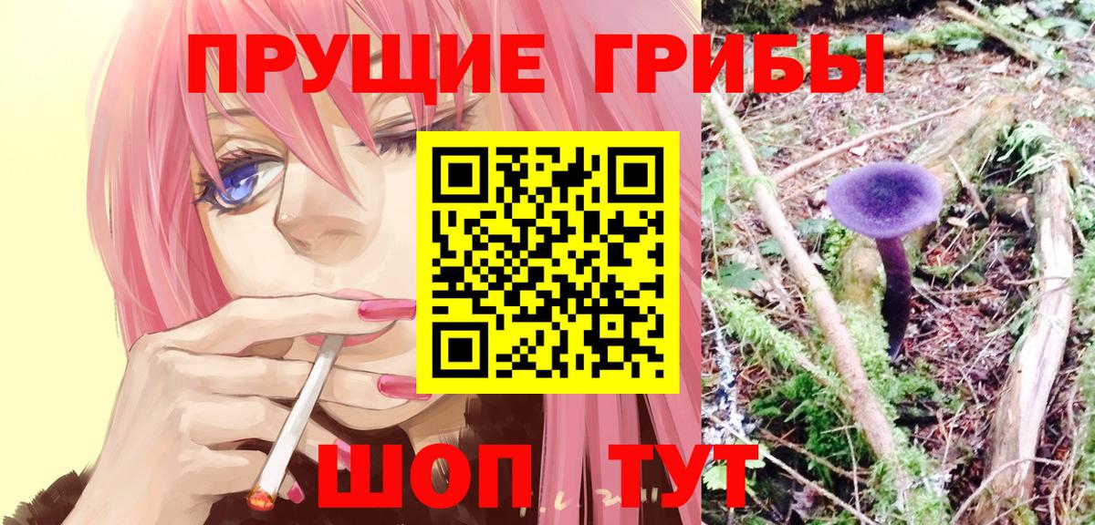 Галлюциногенные грибы GOLDEN TEACHER  Вход с VPN  Октябрьский  Галлюциногенные грибы GOLDEN TEACHER 